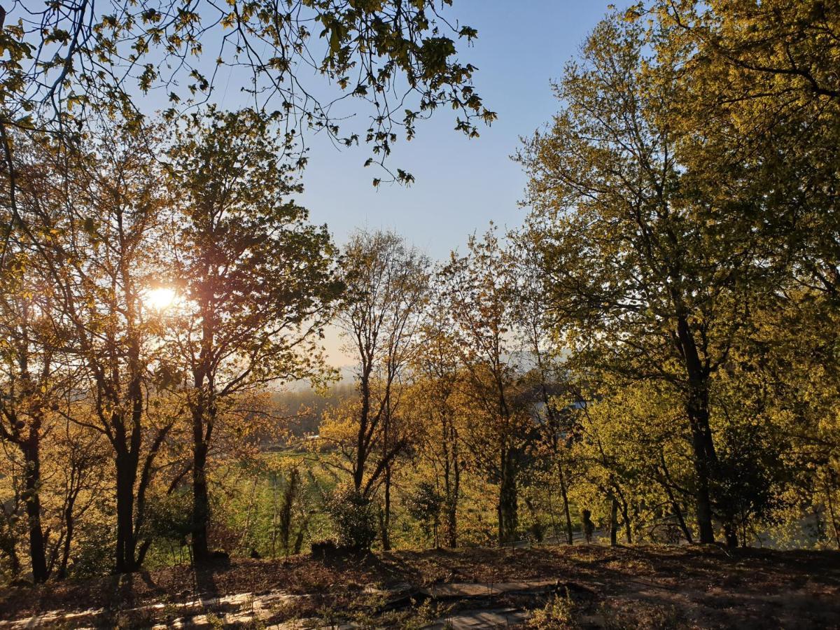 Quinta Das Essencias Penafiel Zewnętrze zdjęcie